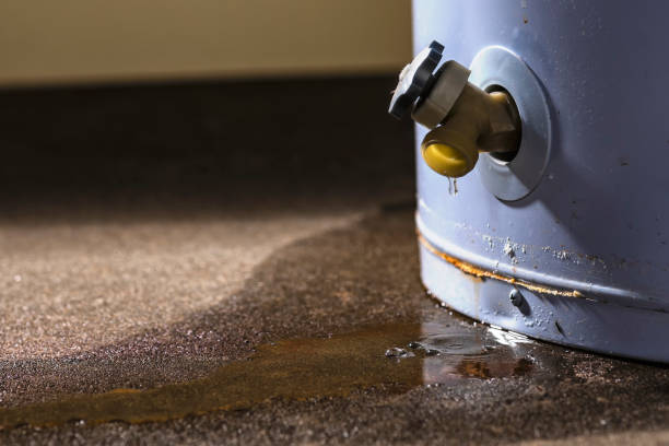 Best Professional water damage repair  in Lookout Mountain, GA