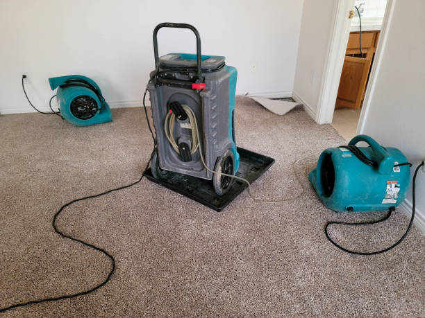 Best Local water damage restoration  in Lookout Mountain, GA