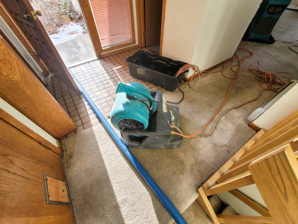 Best Water damage mitigation services  in Lookout Mountain, GA