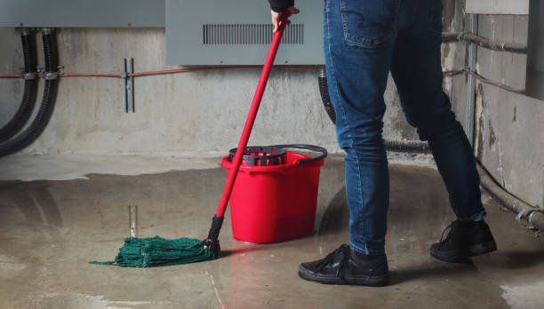  Lookout Mountain, GA Water damage restoration Pros