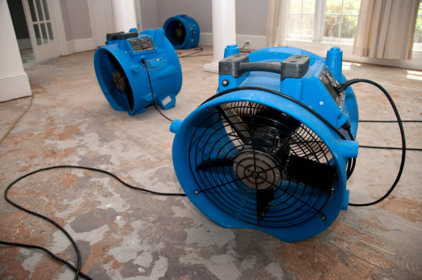 Best Sewage cleanup and water damage restoration  in Lookout Mountain, GA