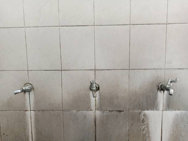 Best Carpet water damage restoration  in Lookout Mountain, GA