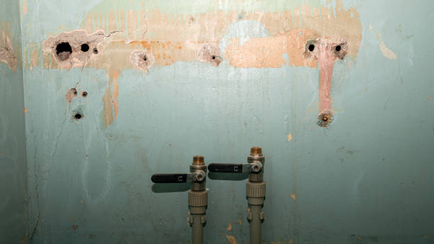 Best Flood damage cleanup  in Lookout Mountain, GA