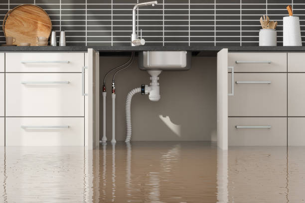 Best Water damage cleanup near me  in Lookout Mountain, GA