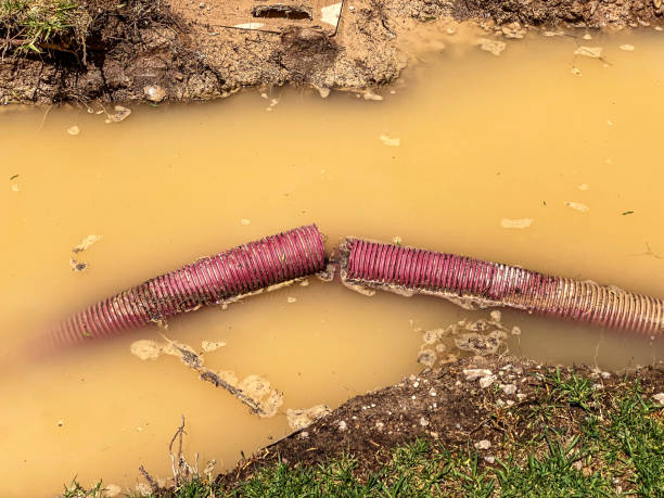 Best Residential water damage restoration  in Lookout Mountain, GA