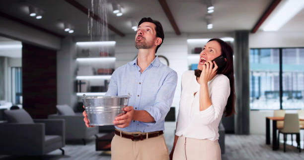 Best Fire Damage Restoration  in Lookout Mountain, GA